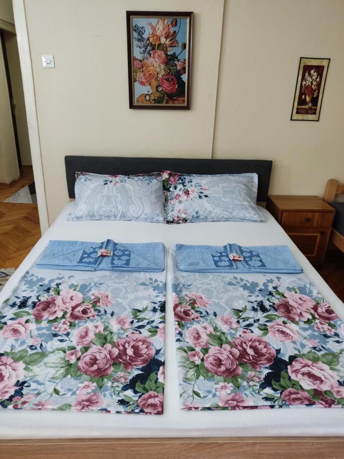 Apartment Fenix Nis Bagian luar foto